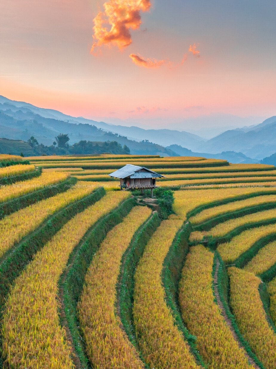 Mu Cang Chai